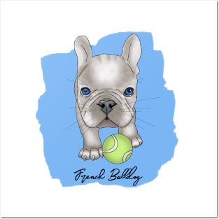 French Bulldog puppy on blue Posters and Art